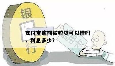 支付宝逾期微粒贷可以借吗，利息多少？