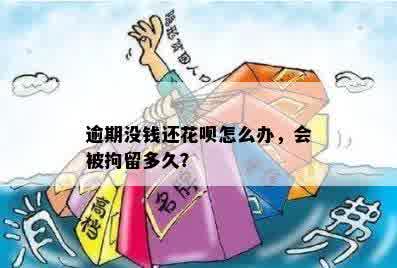 逾期没钱还花呗怎么办，会被拘留多久？