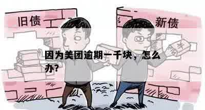 因为美团逾期一千块，怎么办？