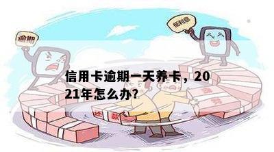 信用卡逾期一天养卡，2021年怎么办？