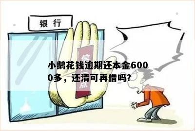 小鹅花钱逾期还本金6000多，还清可再借吗？