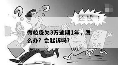 微粒贷欠3万逾期1年，怎么办？会起诉吗？