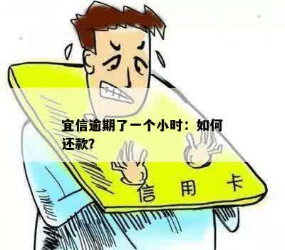 逾期了一个小时：如何还款？