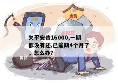 欠平安普16000,一期都没有还,已逾期4个月了，怎么办？