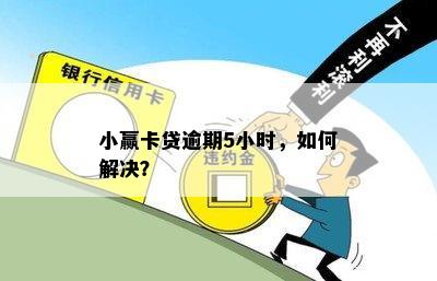 小赢卡贷逾期5小时，如何解决？