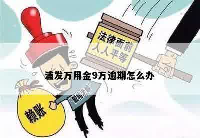 浦发万用金9万逾期怎么办