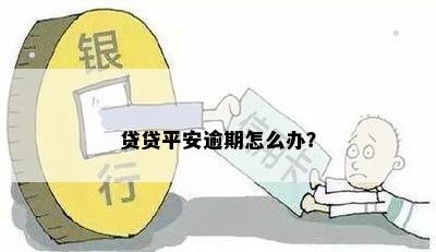 贷贷平安逾期怎么办？