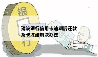 建设银行信用卡逾期后还款及卡冻结解决办法