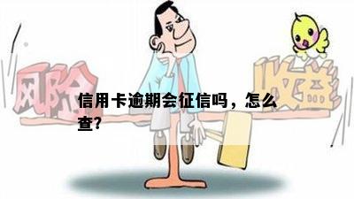 信用卡逾期会征信吗，怎么查？