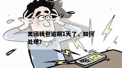 美团钱包逾期1天了，如何处理？