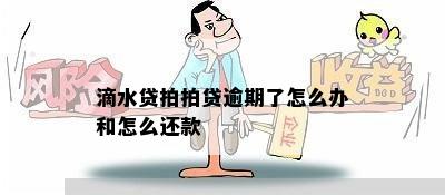 滴水贷拍拍贷逾期了怎么办和怎么还款