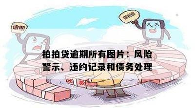 拍拍贷逾期所有图片：风险警示、违约记录和债务处理