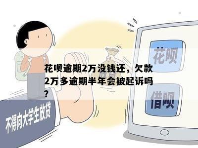 花呗逾期2万没钱还，欠款2万多逾期半年会被起诉吗？