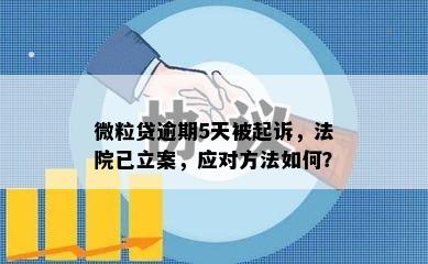 微粒贷逾期5天被起诉，法院已立案，应对方法如何？