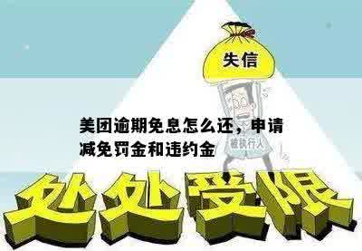 美团逾期免息怎么还，申请减免罚金和违约金