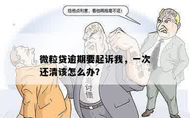 微粒贷逾期要起诉我，一次还清该怎么办？