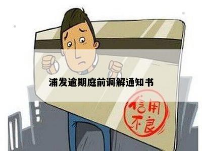 浦发逾期庭前调解通知书