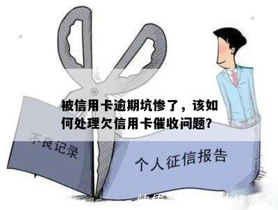 被信用卡逾期坑惨了，该如何处理欠信用卡催收问题？