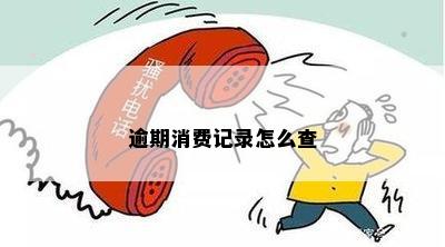 逾期消费记录怎么查