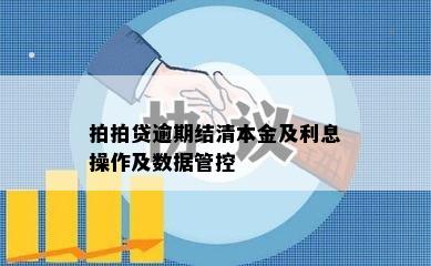 拍拍贷逾期结清本金及利息操作及数据管控