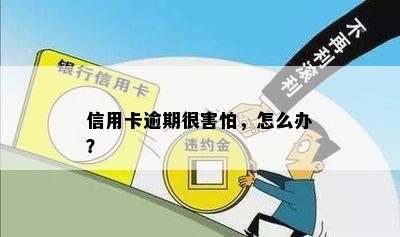 信用卡逾期很害怕，怎么办？