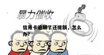 信用卡逾期了还提额，怎么办？