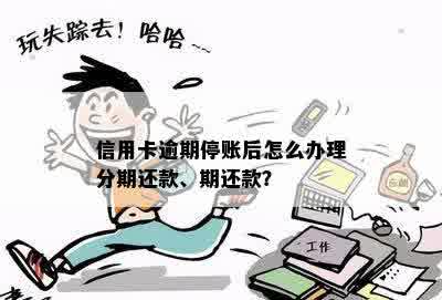 信用卡逾期停账后怎么办理分期还款、期还款？