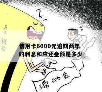 信用卡6000元逾期两年的利息和应还金额是多少