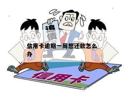 信用卡逾期一周想还款怎么办