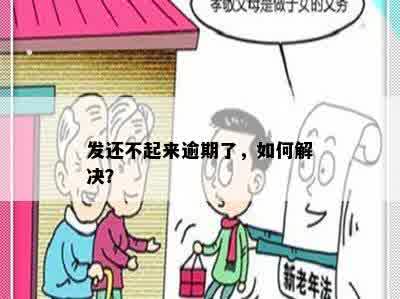 发还不起来逾期了，如何解决？