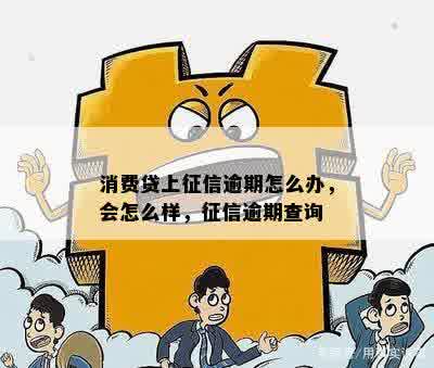 消费贷上征信逾期怎么办，会怎么样，征信逾期查询