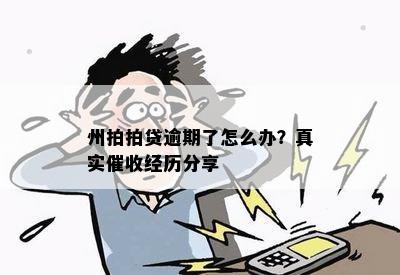 州拍拍贷逾期了怎么办？真实催收经历分享