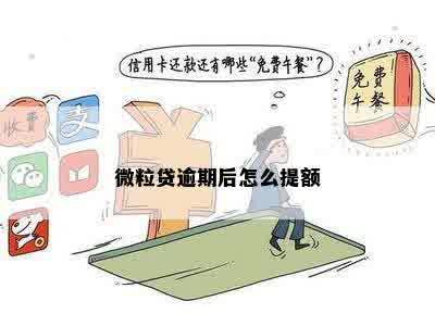 微粒贷逾期后怎么提额