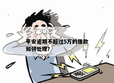 平安逾期不超过5万的借款如何处理？