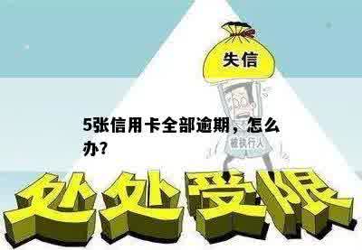 5张信用卡全部逾期，怎么办？