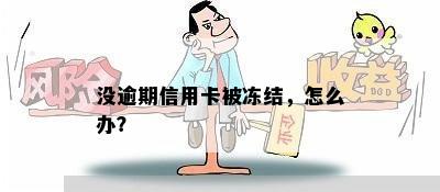 没逾期信用卡被冻结，怎么办？