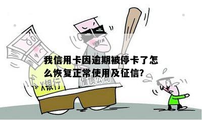 我信用卡因逾期被停卡了怎么恢复正常使用及征信？