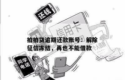 拍拍贷逾期还款账号：解除征信冻结，再也不能借款