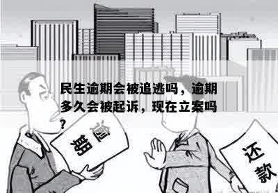 民生逾期会被追逃吗，逾期多久会被起诉，现在立案吗？