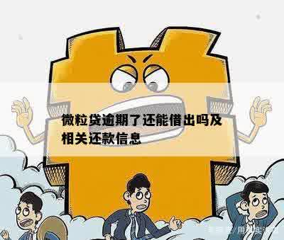 微粒贷逾期了还能借出吗及相关还款信息