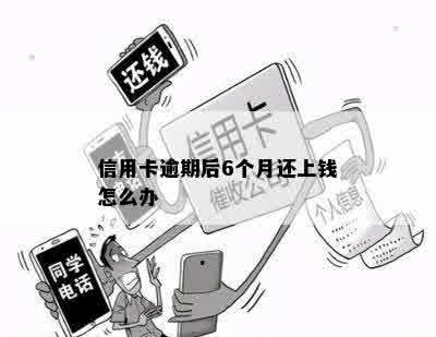 信用卡逾期后6个月还上钱怎么办