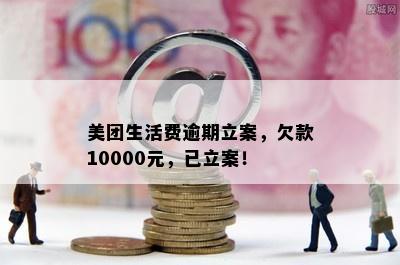 美团生活费逾期立案，欠款10000元，已立案！