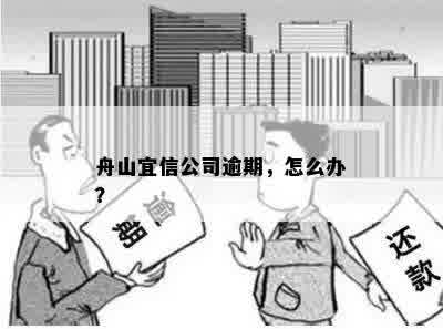 舟山公司逾期，怎么办？