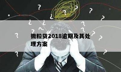 微粒贷2018逾期及其处理方案