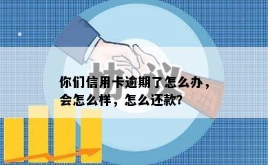 你们信用卡逾期了怎么办，会怎么样，怎么还款？