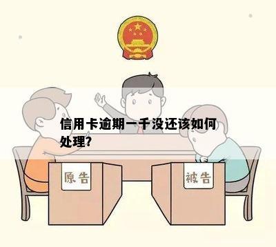 信用卡逾期一千没还该如何处理？