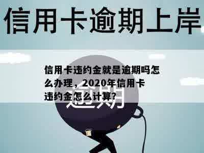 信用卡违约金就是逾期吗怎么办理，2020年信用卡违约金怎么计算？