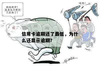 信用卡逾期还了更低，为什么还显示逾期？