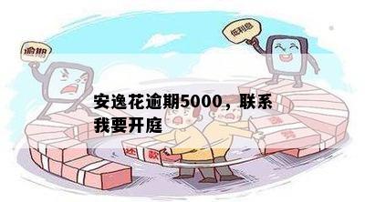 安逸花逾期5000，联系我要开庭