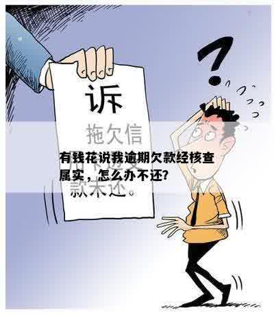 有钱花说我逾期欠款经核查属实，怎么办不还？